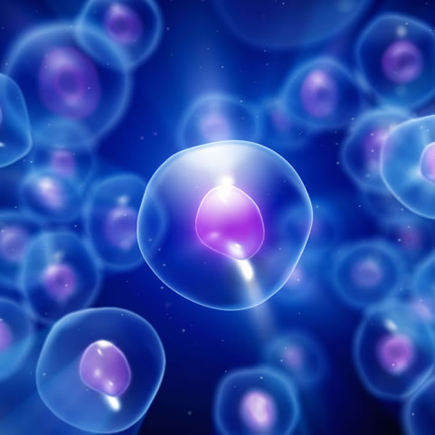 Stem Cell Therapy